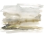 Picture of GOLDEN MOOR II
