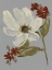 Picture of SUBDUED FLORAL I