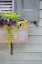 Picture of PASTEL WINDOWS V