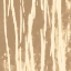 Picture of NEUTRAL PATHS II