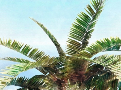 Picture of PLEASANT PALMS I
