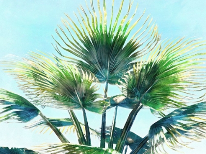Picture of PLEASANT PALMS II