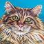 Picture of HIGH SOCIETY CAT I