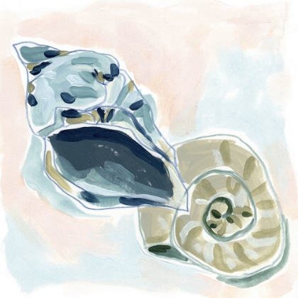 Picture of SHELL MELODY II