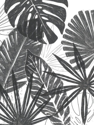Picture of PALM SHADOWS I