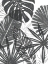 Picture of PALM SHADOWS I