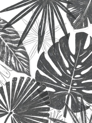 Picture of PALM SHADOWS II