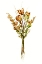Picture of AUTUMN ROSES I