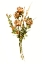 Picture of AUTUMN ROSES II