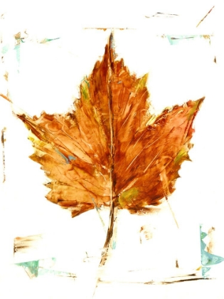 Picture of AUTUMN LEAF STUDY I
