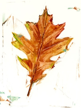 Picture of AUTUMN LEAF STUDY II