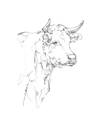 Picture of BOVINE QUICK STUDY I