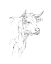 Picture of BOVINE QUICK STUDY I
