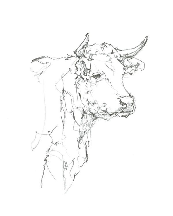 Picture of BOVINE QUICK STUDY I