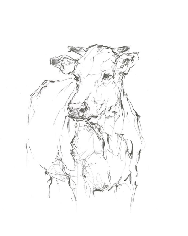 Picture of BOVINE QUICK STUDY II