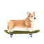 Picture of PUPS ON WHEELS III
