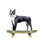 Picture of PUPS ON WHEELS IV