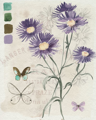 Picture of FIELD NOTES FLORALS III