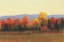 Picture of CHANGING COLORS I