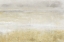 Picture of SQUALL I