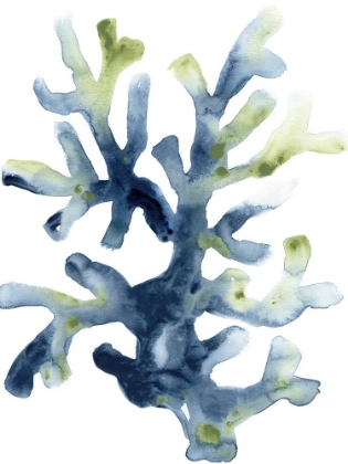 Picture of LIQUID CORAL I