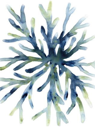 Picture of LIQUID CORAL II