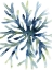 Picture of LIQUID CORAL II