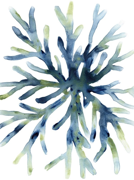 Picture of LIQUID CORAL II
