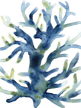 Picture of LIQUID CORAL III