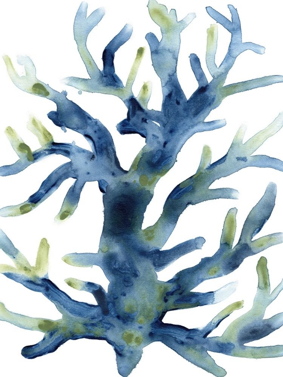 Picture of LIQUID CORAL III