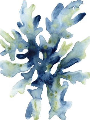 Picture of LIQUID CORAL IV