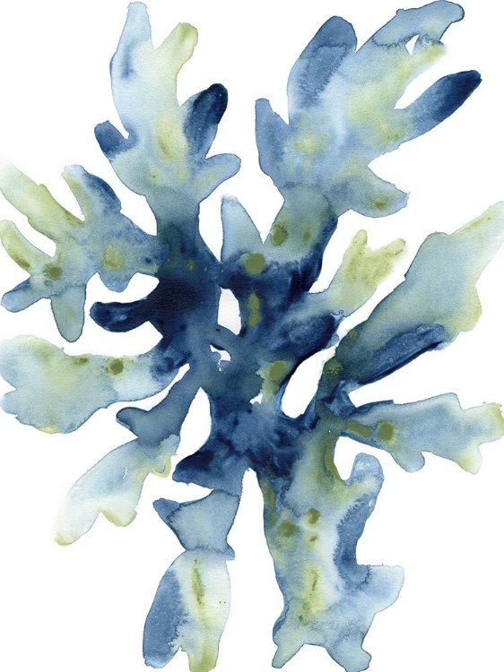 Picture of LIQUID CORAL IV