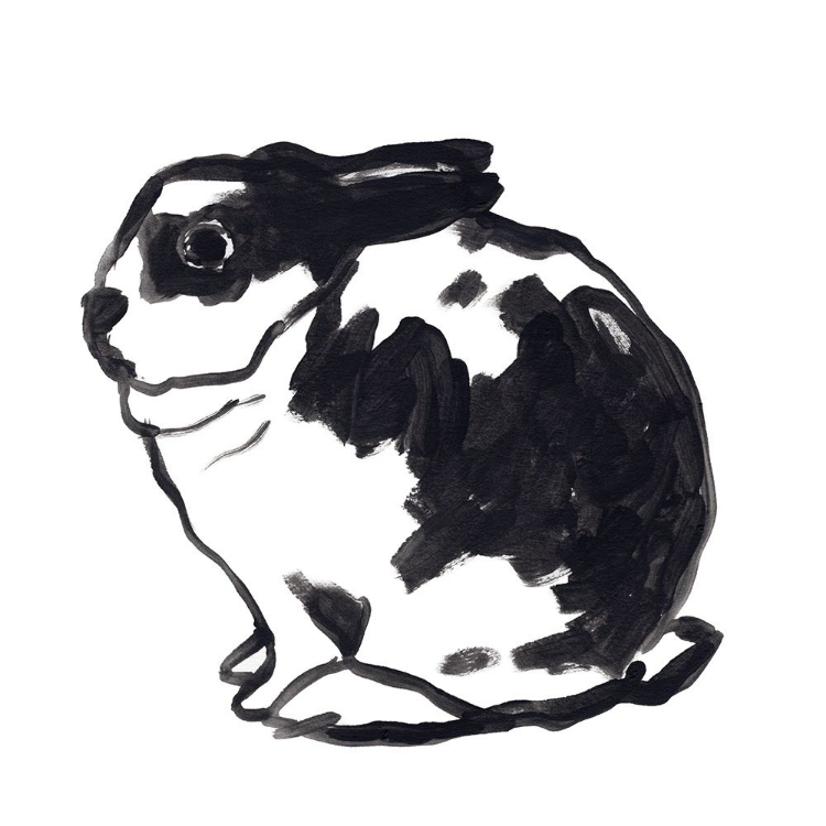 Picture of WINTER RABBIT IV