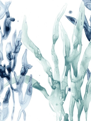 Picture of BLUE KELP II
