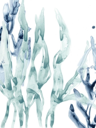Picture of BLUE KELP III
