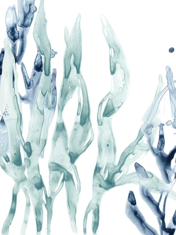 Picture of BLUE KELP III