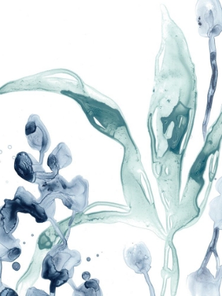 Picture of BLUE KELP IV