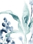 Picture of BLUE KELP IV