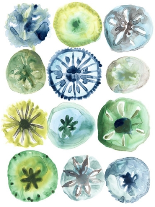 Picture of SEA URCHIN ASSORTMENT II