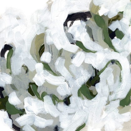 Picture of SNOW LICHEN II