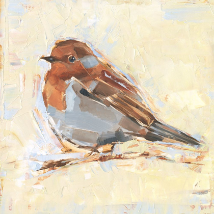 Picture of BIRD VARIETY I
