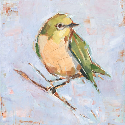 Picture of BIRD VARIETY II