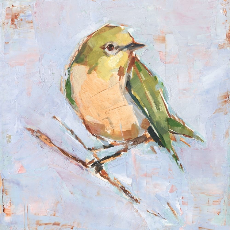 Picture of BIRD VARIETY II