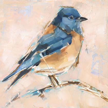 Picture of BIRD VARIETY III