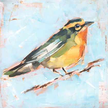 Picture of BIRD VARIETY IV