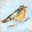 Picture of BIRD VARIETY IV