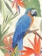 Picture of TROPICAL PARROT COMPOSITION IV