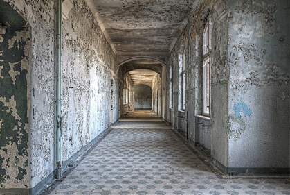 Picture of BEELITZ NO. 6