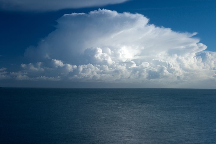 Picture of WO DER WIND DAS MEER BERÜHRT