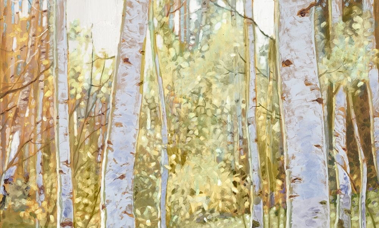 Picture of SUMMER BIRCH I 